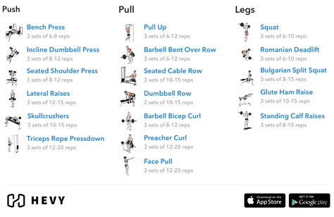 Push Pull Legs PPL Training Split Ultimate Guide With Routines Schedule
