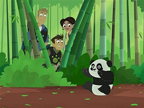 Wild Kratts Panda Power Up Tv Episode 2016 Imdb