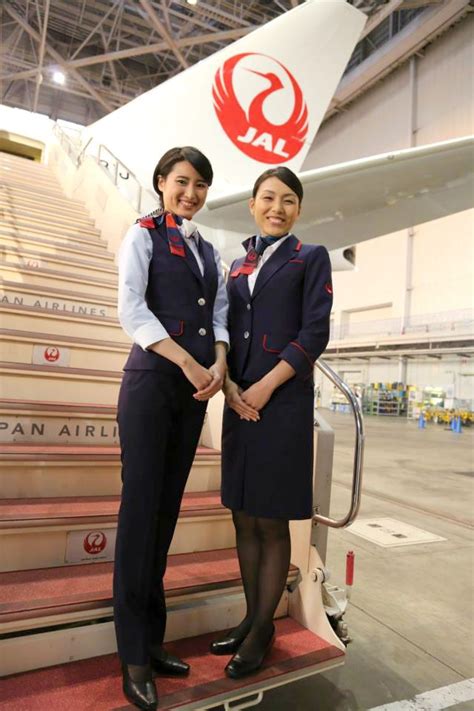 Japan Airlines Jal Airline Cabin Crew Flight Attendant Cabin Crew