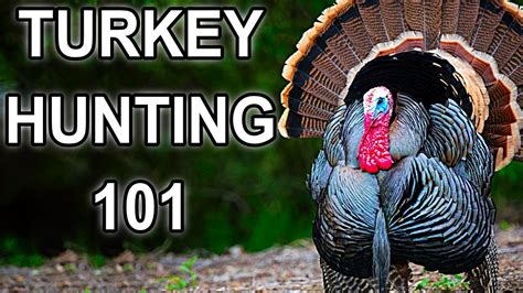 Turkey Hunting For Beginners Youtube