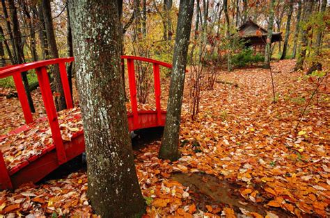 Built in 1938, it is one of alabama's original state parks with many of the structures built by the ccc. Japanese Garden Fall Celebration | Alapark