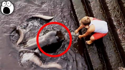 10 Mysterious Creatures Caught On Camera Spotted In Real Life Youtube
