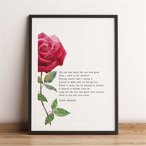 The Rose That Grew From Concrete Tupac Shakur Poem Etsy