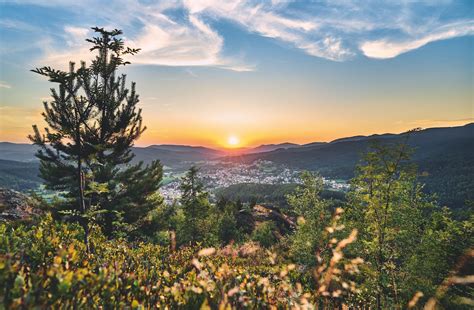A Complete Guide To Visiting Germanys Bavarian Forest Kotrips