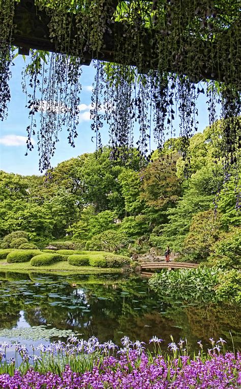 Imperial Gardens Photograph By Kim Andelkovic Fine Art America