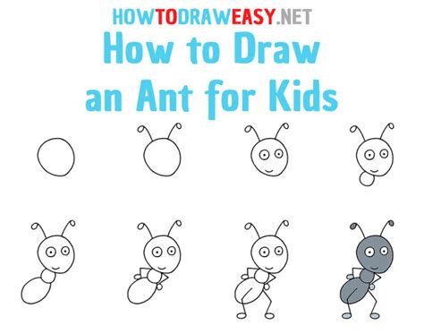 How To Draw An Ant For Kids How To Draw Easy