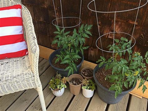 The Beginners Guide To A Simple Container Garden Pretty