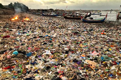 8 Shocking Plastic Pollution Statistics To Know About Earthorg