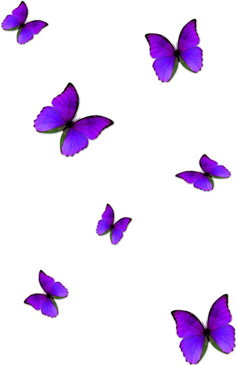 Butterfly Butterflies Purple Violet Sticker By Pancak33