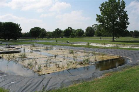 Scientists Deploy Floating Wetlands At Water Treatment Plant