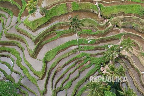 Rekening bri tipe lain bisa dibikin oleh wna. Pemandangan Pedesaan Di Indonesia - Gambar Viral HD