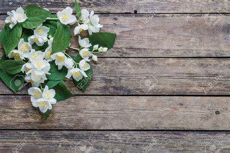 Check spelling or type a new query. rustic flowers - Google Search | Desk flowers, Rustic flowers, White jasmine