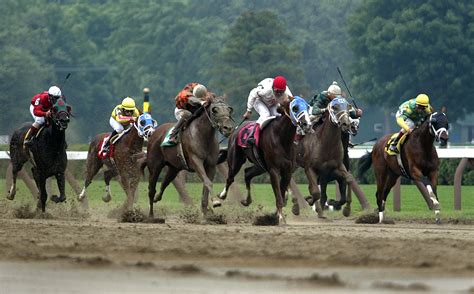 11 Thoroughbreds Have Died At Saratoga Race Course This Year