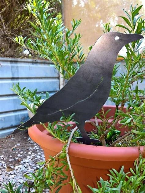 See the best & latest just knock knock coupon coupon codes on iscoupon.com. Crow Garden Stake, 2mm Mild Steel