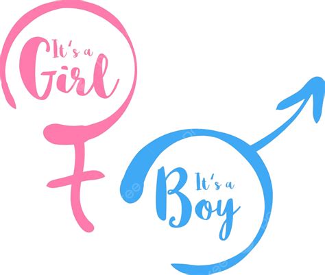 Gender Reveal Baby Shower Invitation With Handdrawn Gender Signs Vector