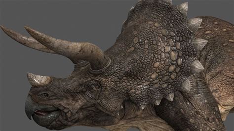 Triceratops La Bestia De Tres Cuernos