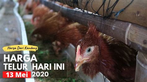 Puncak kenaikan harga telur ayam terjadi di akhir 2020 dan sedikit turun di 2021, namun masih mahal. Harga Telur Ayam Hari ini Rabu 13 Mei 2020 - YouTube