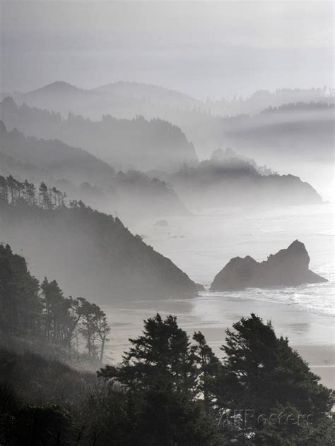 A Foggy Day On The Oregon Coast Just South Of Cannon Beach