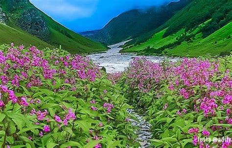 Valley Of Flowers And Hemkund Sahib Trek Desi Nomadz