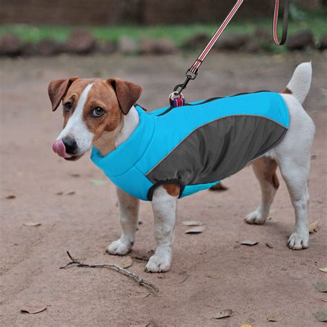 Dog Winter Coats For Small Dogs Waterproof Warm Lined Jacket Clothes