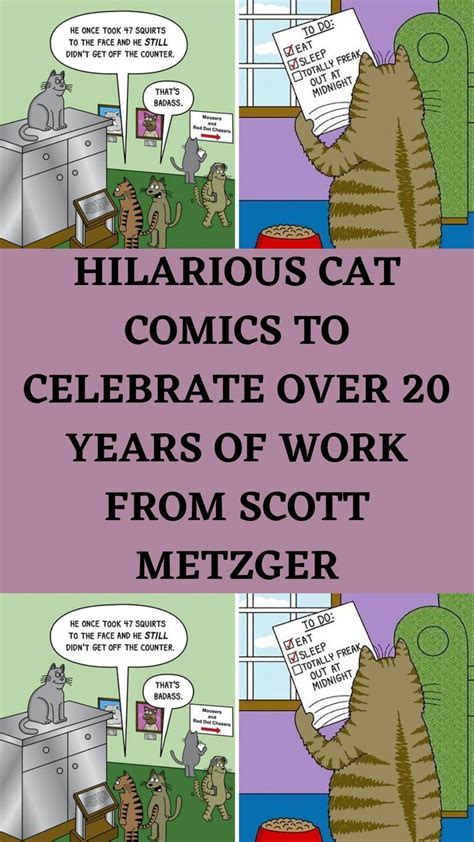 A Comic Strip With The Caption Hilarious Cat Comics To Celebrate Over