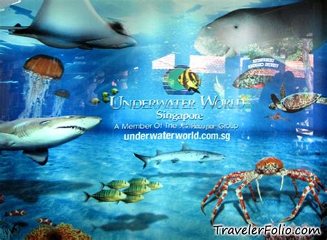 Journey To The Underwater World Travel Blog Singapore