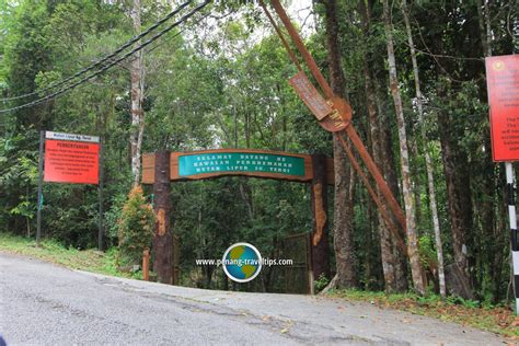On 8 september 1954, his highness the sultan of selangor, the late sultan hishamuddin alam shah declared that templer's park was 'dedicated by selangor to serve as a. Hutan Lipur Sungai Teroi, Kedah, Malaysia