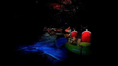 Bioluminescent Bay Kayak Tour Kayak Choices