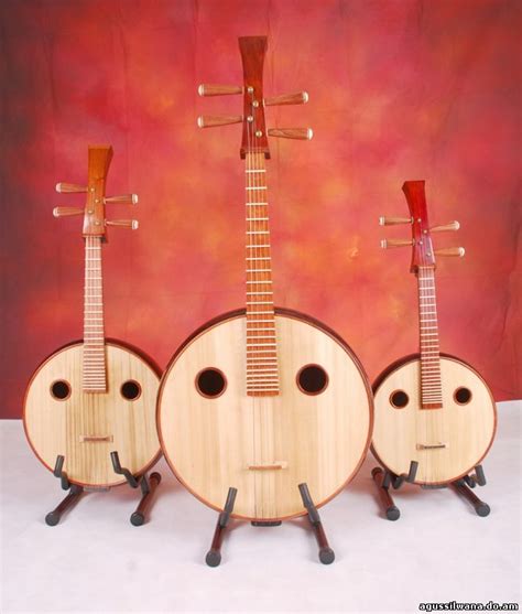 Hasapi sering disebut sebagai kecapi batak karena bentuknya mirip dengan kecapi khas sunda. Alat Musik Tradisional Asia