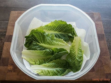 How to store lettuce from garden. Best way to store your lettuce to last all week - Savory ...