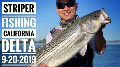 We specailze in striper fishing the california delta and sacramento river delta systems for striped bass aka stripers , king salmon and sturgeon. Striped Bass Fishing on the California Delta, 17.6lb ...