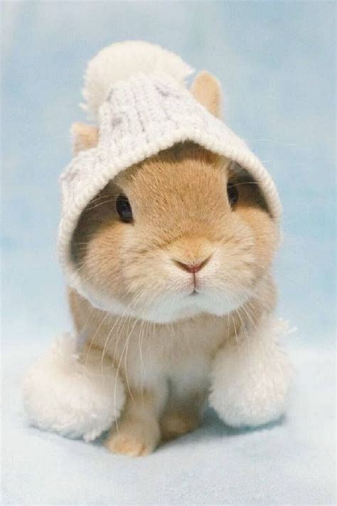 Keep Calm And Love Rabbits I Love Cute Bunny Rabbit Kids