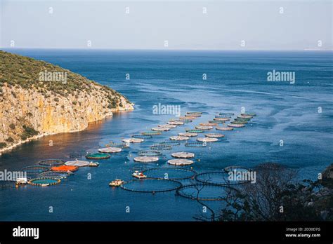 Sea Fish Farm Cages For Fish Farming Dorado And Seabass The Workers