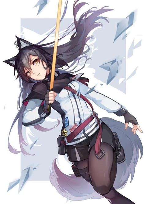 Texas Arkknights Kemonomimi Anime Wolf Girl Cute Anime Character Anime Warrior