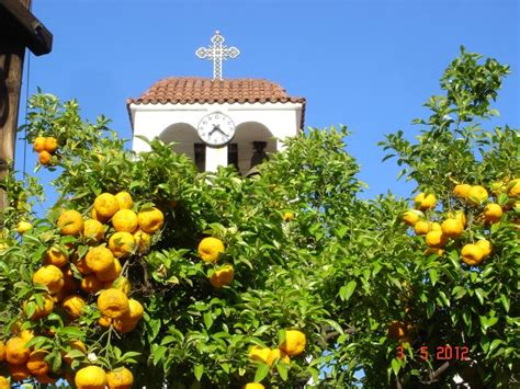 Haus galini is located on the eastern side of the sithonia , chalkidiki (halkidiki) in the cosmopolitan and picturesque settlement of sarti.the complex is situated right on the beach, offering a view of the endless sandy beach of sarti. Holiday.gr - Sarti, a trip to a myth!