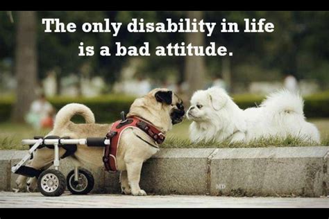 A tax on people who are bad at math. — unknown. Funny Quotes About Bad Attitudes. QuotesGram