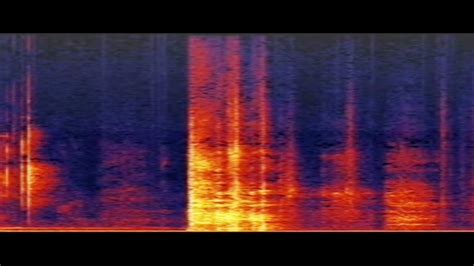 Minecraft Music Disc 11 In Spectrogram Youtube