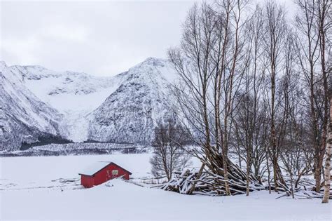 Red Cabin And Snowy Landscape At Blokken Lofoten Islands Norway