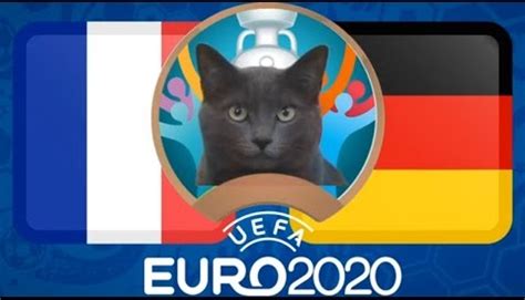 So với đội hình world cup 2018 thì trong đội hình của đức ở chặng đường euro 2021 không xuất hiện những cựu binh như marco reus, mesut oezil, mario gomez, sami khedira. Mèo tiên tri dự đoán kết quả Pháp vs Đức | EURO 2021 ...