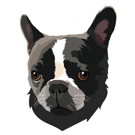 Dog Art Cartoon Style Pet Portrait Personalized Pet Art Etsy