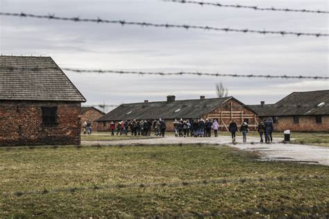 Campos De Concentracion En Alemania - SEONegativo.com
