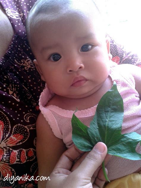 Diyanika Journal: Mengatasi Bisulan pada Bayi Secara Alami
