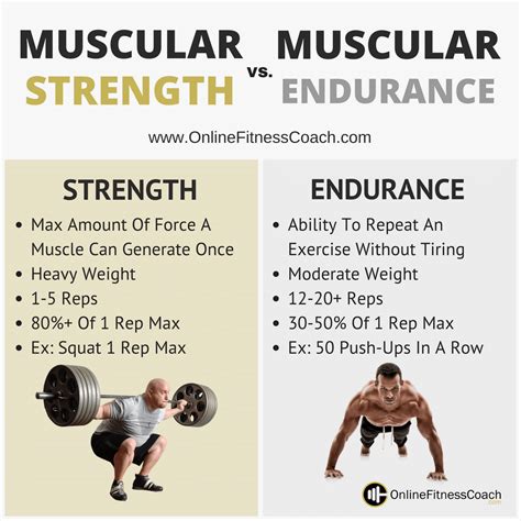 When Comparing A Well Designed Muscular Strength Workout