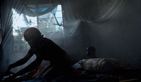 Can We Rely On The Private Sector To Halt Malaria In Africa