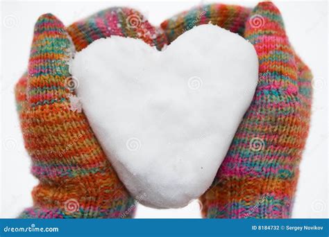 Heart Of Snow In Gloves Stock Photo Image Of Glove Hand 8184732