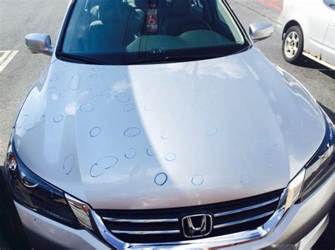 Ideally, split and cracked shingles will be replaced quickly to ensure that no further damage happens. How much does it cost to repair car hail damage? (Second part)