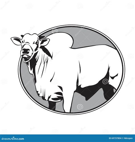 Brahman Cattle Logo Brahman Logo Logo Pinterest Logos