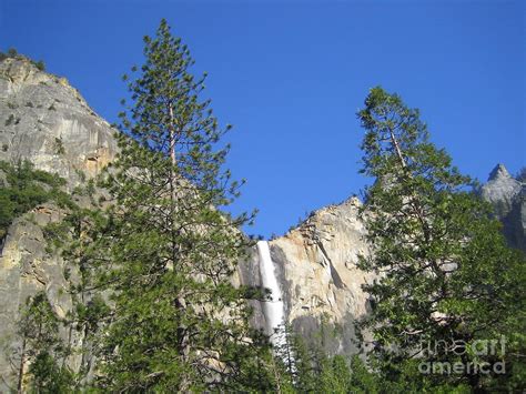 Yosemite National Park Bridal Veil Falls Twin Trees View Photograph By