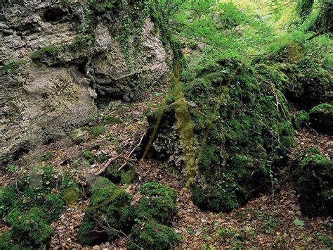 Riserve Naturali Senesi L Area Protetta