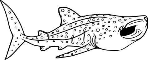 Whale Shark Jumping Out Of Water Coloring Pages Coloring Cool